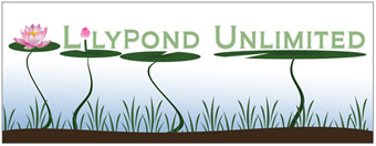 Lily Pond Unlimited — Mental Health Counseling Logo